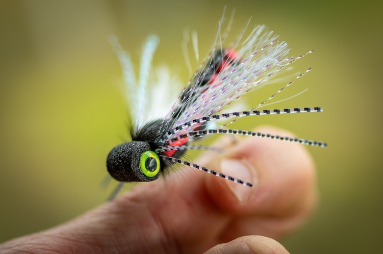 GIANT Hopper/Cicada Fly Pattern: Backwater VLOG #45 – Backwater Fly Fishing  / Jesse Males